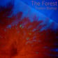 The Forest piano sheet music cover